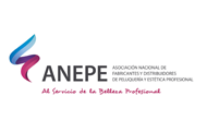 Logo-Anepe2